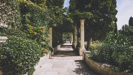 Jardins de l'Abbaye Saint André - Villeneuve-lès-Avignon