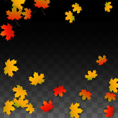 September Vector Background with Golden Falling Leaves. Autumn Illustration with Maple Red, Orange, Yellow Foliage. Isolated Leaf on Transparent Background. Bright Swirl. Suitable for Posters.