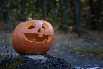 A large pumpkin with a smiling face, the symbol of Halloween. Forest at dusk.