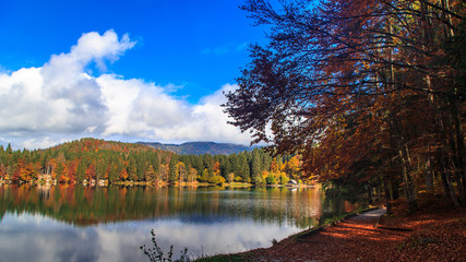 Autumn foliage at the alpine lake