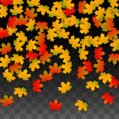 September Vector Background with Golden Falling Leaves. Autumn Illustration with Maple Red, Orange, Yellow Foliage. Isolated Leaf on Transparent Background. Bright Swirl. Suitable for Posters.