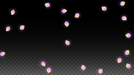 Vector Realistic Pink Petals Falling on Transparent Background.  Spring Romantic Flowers Illustration. Flying Petals. Sakura Spa Design. Blossom Confetti.