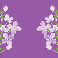 3d realistic floral frame or border illustration for your advertisement layout with white empty background. Vector Purple Lilac flowers, leaf and petals illustration.
