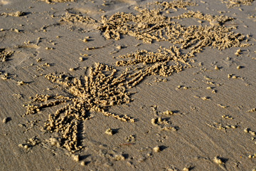 Odd natural pattern on the sand
