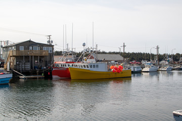 Fototapeta premium fishing boats in autumn sunshine, dockside, eastern passage nova scotia