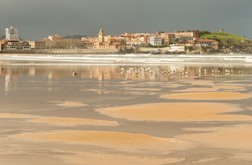 bucolic view of the beach of Gijon, Asturias, a cold and rainy winter morning, with seagulls posing in the sand.