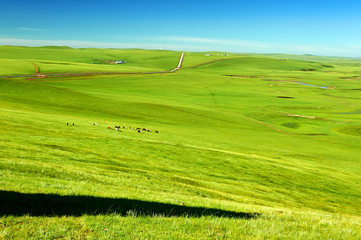 The Muzigler river valley of Hulunbuir grassland of China.