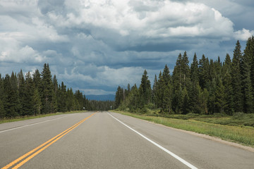 An open road leading to the Colorado rocky mountains through a pine forest