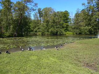 drottningholm palace in Sweden
