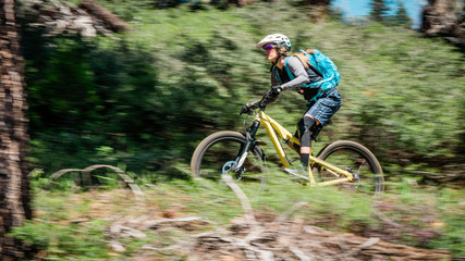 Mountain biking South Lake Tahoe