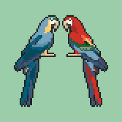 Two parrots on a green background pixel art. Vector illustration.

