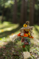 Toy Scare Crow Low to the Ground in a Forest