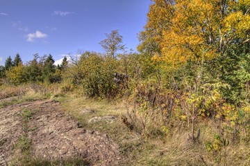 Isle Royale National Park is an Isolated Island in Lake Superior between Minnesota and Michigan