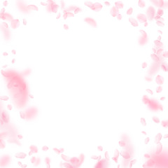 Fototapeta na wymiar Sakura petals falling down. Romantic pink flowers frame. Flying petals on white square background. L