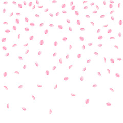Sakura petals falling down. Romantic pink silky small flowers. Sparse flying cherry petals. Top grad