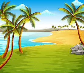the beautiful tropical beach view with some coconut trees on the coast near the green field 
