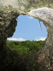 A peephole partially covered by bushes in a World War 11 Japanese pillbox in San Antonio village, looking toward the island of Tinian