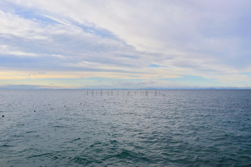 View of Ooita Bay, Japan