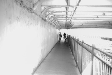 Walking in the Summer