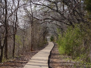 Fototapeta premium concrete walkway underneath trees that are waiting for their leaves to grow back at the start of spring 