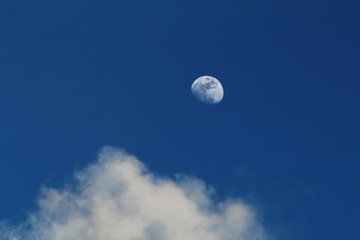 Quarter moon with white fluffy clouds in blue sky backdrop