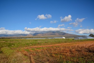 Fototapeta premium 遠くに八ヶ岳が見える秋の風景