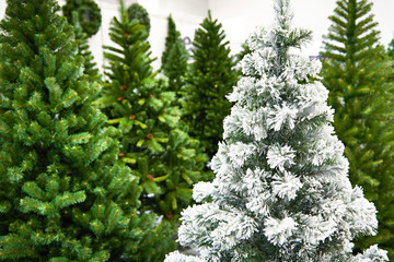 Decorative artificial christmas trees in store