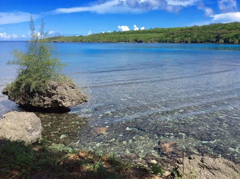 Small sharp rock with plants growing on top, with a view of crystal clear waters and corals facing the scenic Puntan Diablo or Devil&rsquo;s Poing cove  Tinian, Northern Mariana Islands