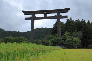 Fototapeta premium 日本の大鳥居
