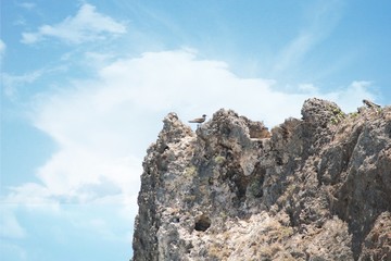 Cropped shot of the top of a cliff with a bird perched near the edge