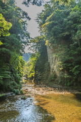 Fototapeta na wymiar 夏の養老渓谷の弘文洞跡の風景
