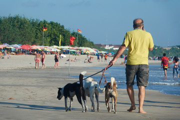 A man walks his three dogs on leashes on a beach among people