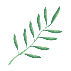 branch with leafs icon