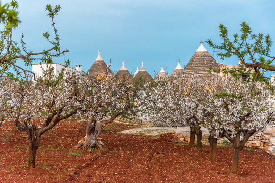 Alberobello Italy in the Spring