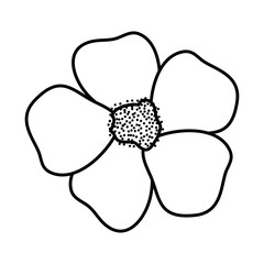 beautiful flower isolated icon