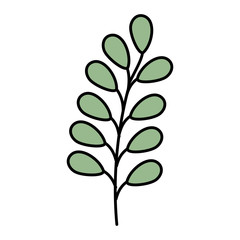 branch with leafs icon