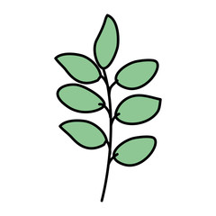 branch with leafs icon