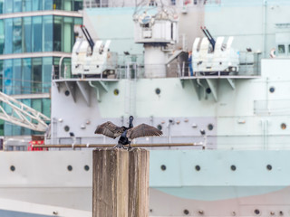 Cormorant Defiant against an old British Battleship