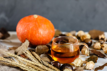 Autumn Thanksgiving Background. Pumpkin, chestnuts, cup of black tea, physalis, knitted sweater lying on gray background