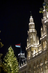 Fototapeta na wymiar Christmas tree at the vienna local council square