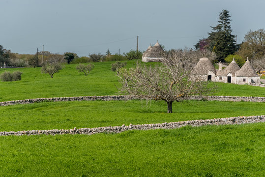 Alberobello Italy in the Spring