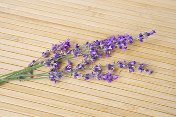 Obraz na płótnie Canvas Lavender on wooden texture. Element of design.