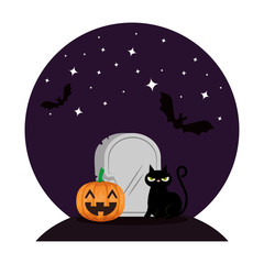Fototapeta premium halloween black cat with pumpkin in the night