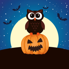 halloween owl with pumpkin on night