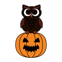happy halloween owl with pumpkin