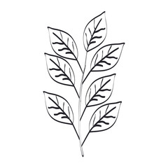 branch with leafs icon