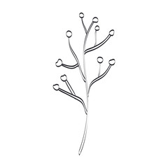 branch with seeds icon