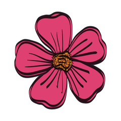 beautiful flower isolated icon