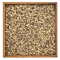 hemp seed background