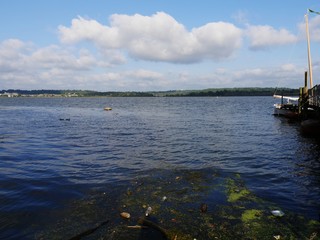 Trash and debris washed up from the Potomac River to the City Marina pier at Thompson Alley at the...
